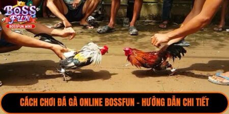 Cách Chơi Đá Gà Online BossFun